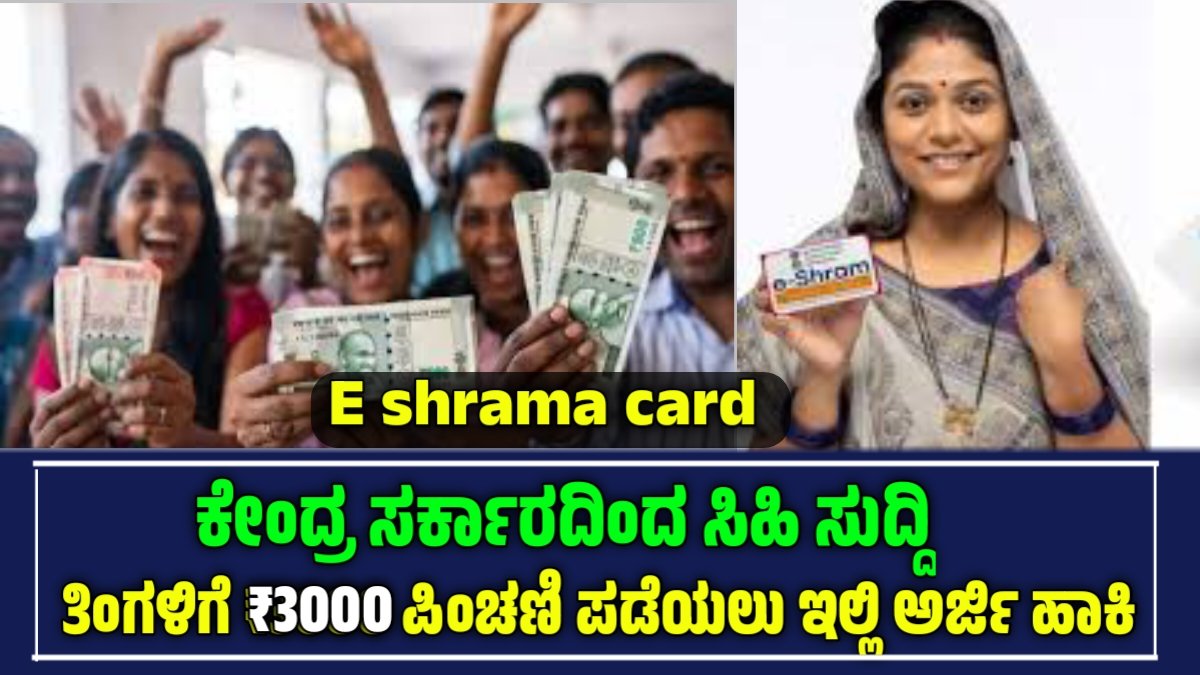 E-shrama card benifit