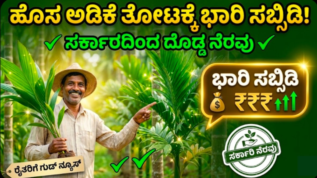 Arecanut Plantation sabsidy